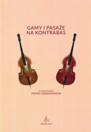 C02 Gamy i pasaże.jpg